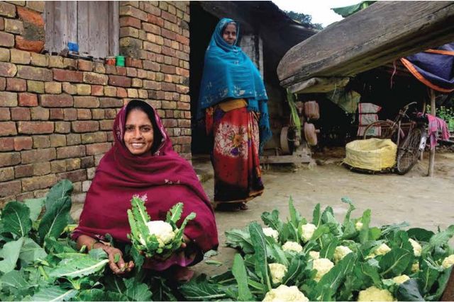 Top CSR interventions in Bihar