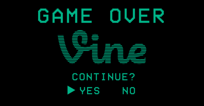 Elon Musk says he's bringing back Vine's archive